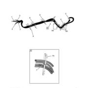 Figure 4041150C92