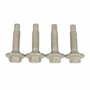 Door Hinge Bolt
