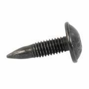 Window Regulator Bolt