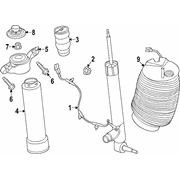 Air Suspension Spring - Right, Rear