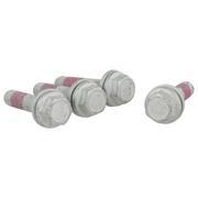 Hex Head Bolt And Washer Disc Brake Caliper Anchor Plate - M10 X 46, Rear