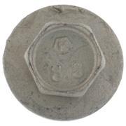 Door Hinge Bolt Screw And Washer - M8 X 20MM, Rear