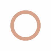 Seal Ring DIN 7603 - A12 x 16 - Copper