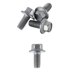 Screw - M6