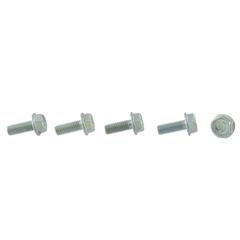 Bolt - M6 X 16.5MM (AT)