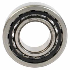 Manual Transmission Input Shaft Bearing (6-MT)