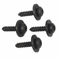 Screw - 4.8 X 19, Right