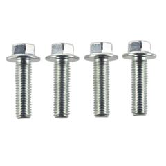 Starter Bolt Screw - M10 x 35MM 3.0L