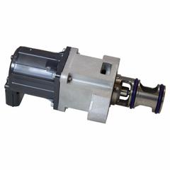 Exhaust Gas Recirculation Valve