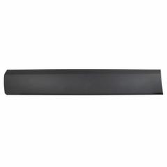 Molding MOULDING - Right, Lower