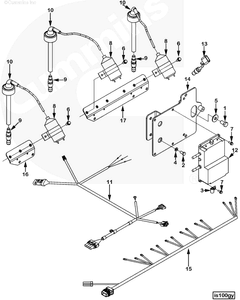 4949607 Image1