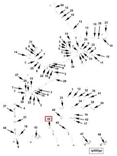 4080275 Image1