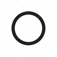 O-Ring Seal