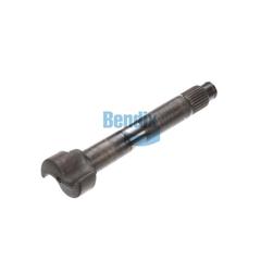 Camshaft