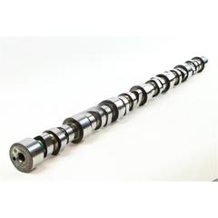 4298629CUM-2