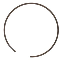 Snap ring