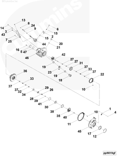 4955375 Image1