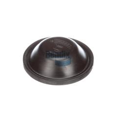 Diaphragm