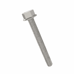 Screw