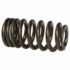 Engine Valve Spring - 5.0L