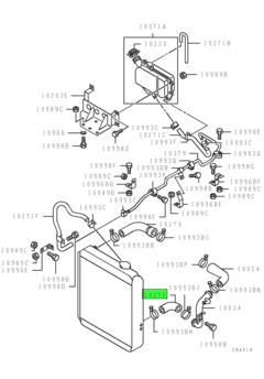 HOSE,RADIATOR,LWR 1