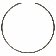 Snap ring