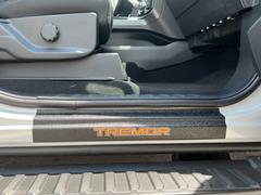Door Sill Kit Tremor logo on Black Texture