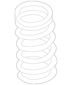 Coil Spring - Right, Rear