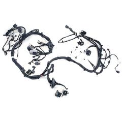 Wiring - 2.3L