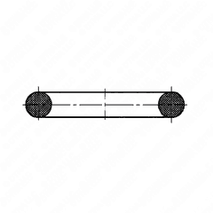 O-Ring