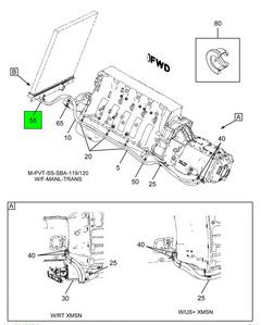 Figure 1BRYG