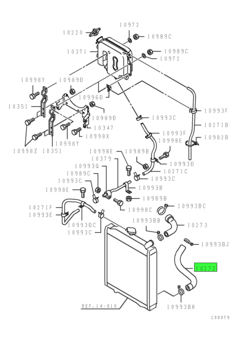 HOSE,RADIATOR,LWR 1