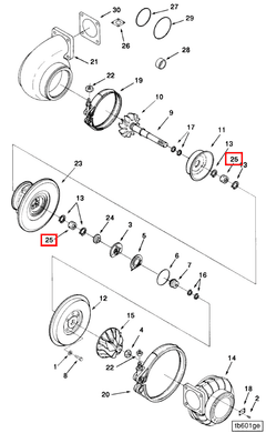 3533194 Image1