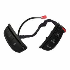 Cruise Control Switch