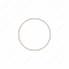 Laminated Sealing Ring for OM906