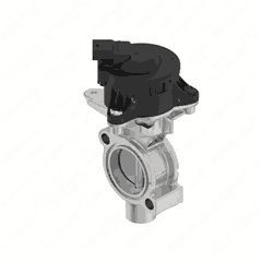 Exhaust Gas Recirculation Valve