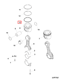 3698036 Image1