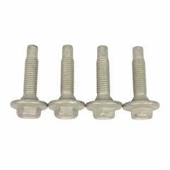 Door Hinge Bolt