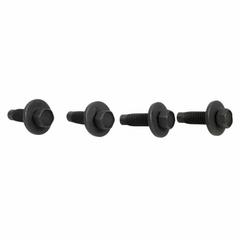 Screw and Washer - M10 X 30MM