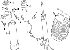Air Suspension Spring - Right, Rear