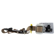 Seat Belt Lap and Shoulder - Left, Rear