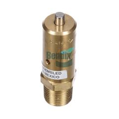 Safety Valve