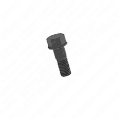 Screw