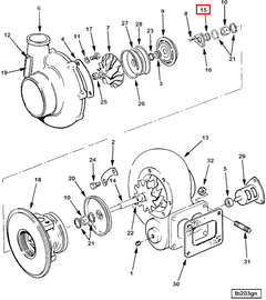 3500334 Image1