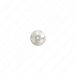 Exhaust Valve with Cylinder Head for OM904 Euro 4/5