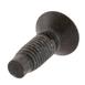 Door Lock Striker Plate Screw - M8 X 22MM, Rear