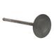 Engine Intake Valve - Inlet