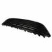 Radiator Grille - Front (SE)