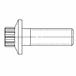 M10 x 1.25 x 30 mm Metric 12-Point Head Bolt