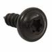 Door Belt Molding Screw
